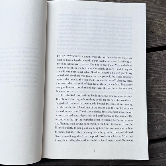 The Light Pirate First Edition Hardcover Book By Lily Brooks-Dalton - Picture 9 of 12